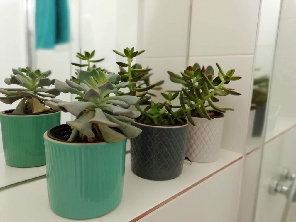 Suite Da Joaninha Caminha Buitenkant foto